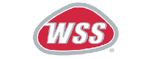 Warehouse Shoe Sale color logo