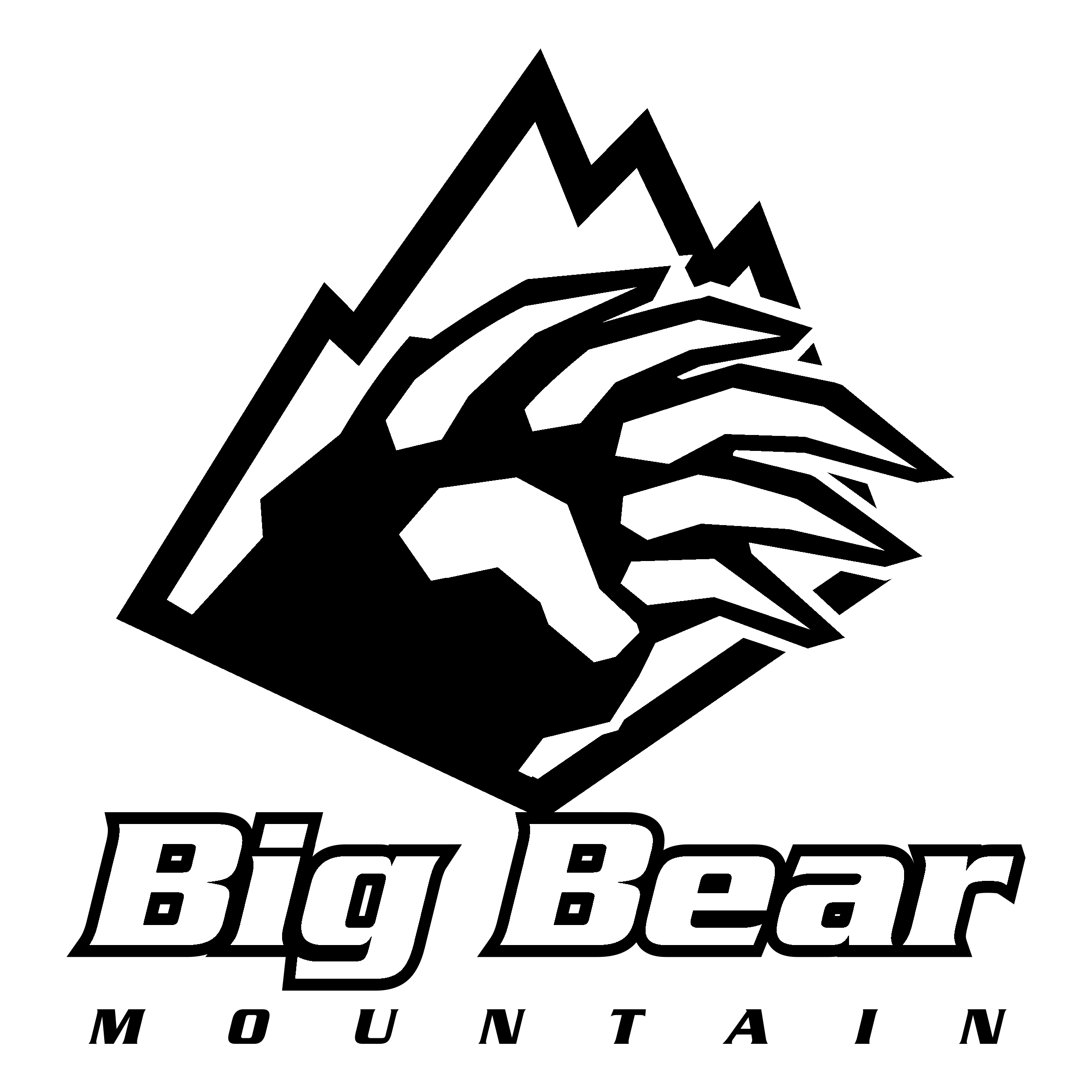 Big Bear Mountain Resort logo